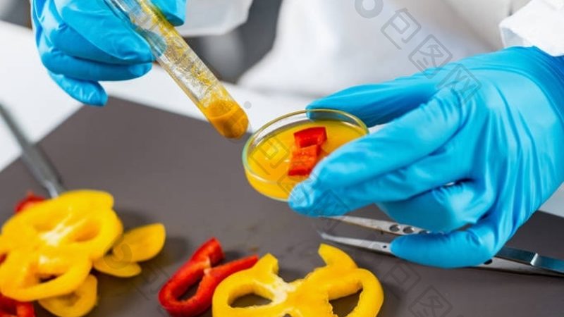 山东食品招商厂家：揭秘优质食品生产的背后